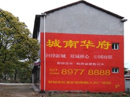 肥西百分之90的人都不了解的农村墙体广告
