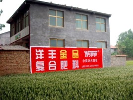 肥西如何让墙体广告展现最大化效果