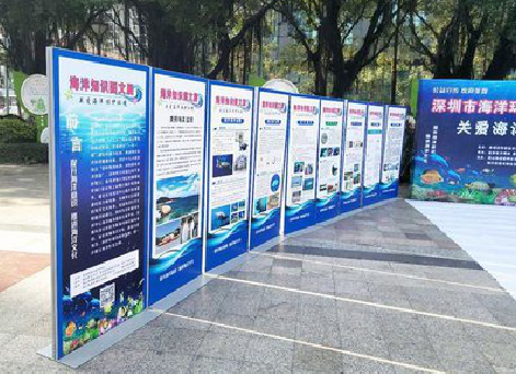 肥西KT板的种类和知识。